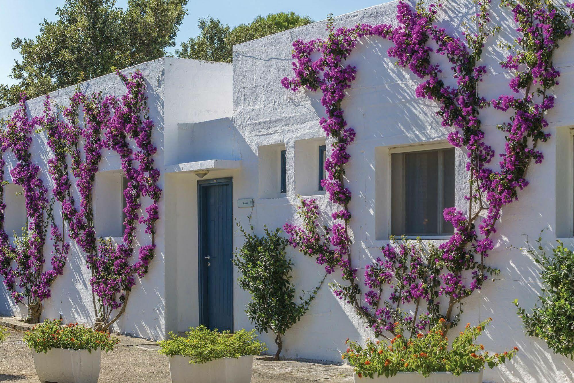 Th Ostuni - Ostuni Village Eksteriør bilde